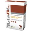 NEXTMUNE ITALY Srl TOTABI 32CPR VET