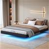 belupai Letto matrimoniale imbottito con contenitore, 160 x 200 cm, letto idraulico, senza testiera, con contenitore idraulico e luci LED per camera da letto, colore nero