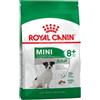 Royal Canin Mini Adult 8+ Crocchette Cani Anziani 800g