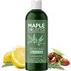 Maple Holistics Shampoo per Capelli Grassi & cute grassa - Shampoo naturale per le donne e gli uomini - trattamento dei capelli adduttori - Bella Cura dei capelli - shampoo chiarire solfato libero