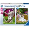 Ravensburger - Puzzle Gattini, 2x500 Pezzi, Idea regalo, per Lei o Lui, Puzzle Adulti