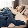 BDMFJY Agnello Cashmere e Velluto Tessuto di Lana Caldo Inverno Trapunta, Addensare Piumino piumone Coperta Matrimoniale Queen Size Singola Doppia Cashmere Trapunta, Lavabile in Lavatrice,D,220x240cm(5kg)