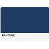 osama home PANTONE - Tovaglietta Colazione Plastificata Rettangolare Impermeabile, Tovaglia Antimacchia Piccola 45x30 Antiscivolo, Tovagliette Colazione Americane Lavabili a Mano, Accessori Cucina Salvaspazio