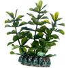 Hobby, Bacopa