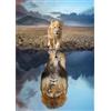 MEIYUDA Diamond Painting Riflessione del Leone, 5D Diamond Painting Kit Completo, 5D Pittura Diamante Painting Kit Ricamo a Punto Croce Artigianale Per La Decorazione Della Parete Di Casa 30x40cm