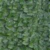 TENAX Divy Laurus PRO 150x300 cm Verde, Siepe Sintetica con Foglie in Polietilene Tipo Lauro per la Schermatura Frangivista di Balconi, Giardini e Recinzioni