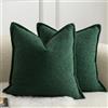 Mandioo 2 Pezzi Copricuscini Colore d'accento Minimalista decorativi Tessitura Fodere per Cuscino Moderne per Casa Soggiorno Camera da Letto per Divano 40 x 40 Verde
