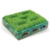 Catstages Grass Patch Hunting Box Mint Small