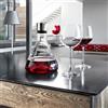 Blomus DELTA caraffa, 63482, DELTA chiaro/acciaio inox spazzolato/nero [Cibo e Bevande > Accessori da Vino]