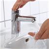 Schell PETIT SC rubinetto lavabo HD-M, 021510699, HD-M PETIT SC cromo [Rubinetteria Bagno > Rubinetteria Lavabo]