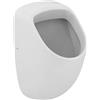 Ideal Standard Connect orinatoio, E567101, Connect bianco [Orinatoi > Orinatoi]