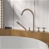Dornbracht VAIA rubinetto bordo vasca, miscelatore a due comandi, 27522809-06, VAIA platino opaco [Rubinetteria Bagno > Rubinetteria Vasca]
