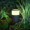 Philips Hue White & Color Ambiance Calla lampada con piedistallo, LED, 8718696167991, White & Color Ambiance Calla; White & Color Ambiance; Calla [Lampade per Esterni > Lampade con Piedistallo]