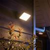 Philips Hue White & Color Ambiance Discover lampada a parete, LED, 8718696170533, White & Color Ambiance Discover; White & Color Ambiance; Discover [Lampade per Esterni > Lampade a Parete]