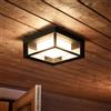 Philips Hue White & Color Ambiance Econic lampada a soffitto, LED, 8718696170564, White & Color Ambiance Econic; White & Color Ambiance; Econic [Lampade per Esterni > Lampade a Soffitto]