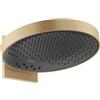 hansgrohe Rainfinity soffione doccia, 3 tipi di getto, 26234140, Rainfinity bronzo spazzolato [Rubinetteria Bagno > Soffioni Doccia]