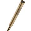 AXOR Starck doccetta, 2 tipi di getto, 28532140, Starck bronzo spazzolato [Rubinetteria Bagno > Doccette / Supporti]