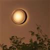Philips Hue White & Color Ambiance Daylo lampada a parete, LED, 8718696174401, White & Color Ambiance Daylo; White & Color Ambiance; Daylo [Lampade per Esterni > Lampade a Parete]
