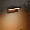 Philips Hue White & Color Ambiance Nyro lampada a parete, LED, 8718696174302, White & Color Ambiance Nyro; White & Color Ambiance; Nyro [Lampade per Esterni > Lampade a Parete]