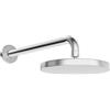 Hansa Basicjet soffione doccia, 1 tipo di getto, 44360100, Basicjet cromo [Rubinetteria Bagno > Soffioni Doccia]
