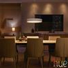 Philips Hue White Ambiance Enrave lampada a sospensione, LED, 8718696176573, White Ambiance Enrave; White Ambiance; Enrave [Lampade per Interni > Lampade a Sospensione]