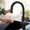 hansgrohe Aqittura M91 rubinetto da cucina con sistema di filtraggio, estraibile, orientabile, 76803670, Aqittura M91 nero opaco [Rubinetteria da Cucina > Rubinetti da Cucina con Trattamento dell'Acqua]