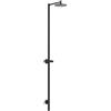 AXOR Starck Nature colonna doccia, miscelatore monocomando, 12671670, Starck Nature nero opaco [Rubinetteria Bagno > Colonne Doccia]