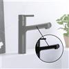 Fortis Barona ricambio doccetta, 6458690TBB, Barona nero spazzolato [Rubinetteria da Cucina > Accessori per Rubinetti da Cucina]