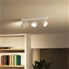 Philips Bracia faretto, LED, 8720169174788, Bracia [Lampade per Interni > Punti Luce e Faretti]