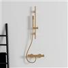 Ideal Standard Idealrain set doccia con asta saliscendi, 1 tipo di getto, A7616A2, Idealrain brushed gold [Rubinetteria Bagno > Set Doccia]