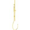 Ideal Standard Idealrain set doccia con asta saliscendi, 1 tipo di getto, A7617A2, Idealrain brushed gold [Rubinetteria Bagno > Set Doccia]