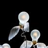 Ingo Maurer Birds & Luzy lampada LED LED 1,5 W, 7680028, A70 Birds & Luzy; Birds Birds Birds; Birdie; Luzy [Lampadine > Lampade a LED]
