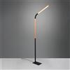 TRIO Leuchten Norris lampada da terra, a LED, 445210132, Norris [Lampade per Interni > Lampade da Terra]