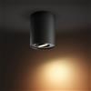 Philips Hue White Ambiance Pillar faretto, GU10, 1 luci, 8720169320239, White Ambiance Pillar; White Ambiance; Pillar [Lampade per Interni > Punti Luce e Faretti]