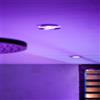 Philips Hue White & Color Ambiance Xamento faretto da incasso, GU10, 8720169320956, White & Color Ambiance Xamento; White & Color Ambiance; Xamento [Lampade per Interni > Punti Luce e Faretti]