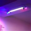 Philips Hue White & Color Ambiance Centris faretto, GU10 e LED, 5 luci, 8720169318618, White & Color Ambiance Centris; White & Color Ambiance; Centris [Lampade per Interni > Punti Luce e Faretti]