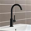 hansgrohe LivaFine rubinetto lavabo, 72505670+PR2100BM, LivaFine nero opaco [Rubinetteria Bagno > Rubinetteria Lavabo]