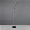 Reality Leuchten Moreno lampada da terra ricaricabile, LED, R44561132, Moreno [Lampade per Interni > Lampade da Terra]