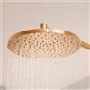 Hansa Viva soffione doccia, 1 tipo di getto, 4426020081, Viva bronzo spazzolato [Rubinetteria Bagno > Soffioni Doccia]