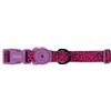 Zee.Dog Collare Regolabile per Cani Brain, m-37-53x2cm