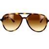 Ray-Ban Occhiali da Sole Ray-Ban RB4376 710/13