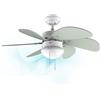 Cecotec Ventilatore da Soffitto con Luce EnergySilence 3600 Vision Mint. 50 W, Diametro 92 cm, Lampada, 3 Velocità, 6 Pale Reversibili, Funzione Estate/Inverno, Interruttore a Catena, Bianco/Menta