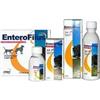 ENTEROFILUS 12X10ML