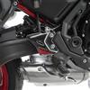 Resin Bike Adesivi Moto Compatibile con Kawasaki Z650 2024-2025 Candy Persimmon Red/Ebony. Protezione Moto Battitacco da Urti e Graffi. Coppia di Adesivi 3D Resinati Made in Italy
