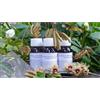 LABOR VILLA STODDARD Srl Labor Villa Stoddard LVS 70C Olea Europea Compositum