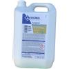 Sigma Concentrato contro funghi e muffe Sigma - Fungisol 2,5 LT