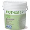 Fassa Bortolo Idropittura Anti-Inquinamento Fassa Bortolo - Pothos 003