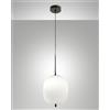 Fabas DOMIZIA LAMPADARIO A SOSPENSIONE NERO D.25CM IN METALLO E VETRO 1 LUCE ATTACCO E27