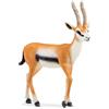 schleich 14861 Gazzella Thomson, da 3 anni, WILD LIFE - Figura, 2 x 9 x 10 cm
