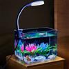 Niwugady Serbatoio per Acquario con Luce a Morsetto, Kit di Avviamento Quadrato da Scrivania, Bocce per Pesci per Soggiorno, Ufficio, L